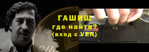 PSILOCYBIN Вяземский